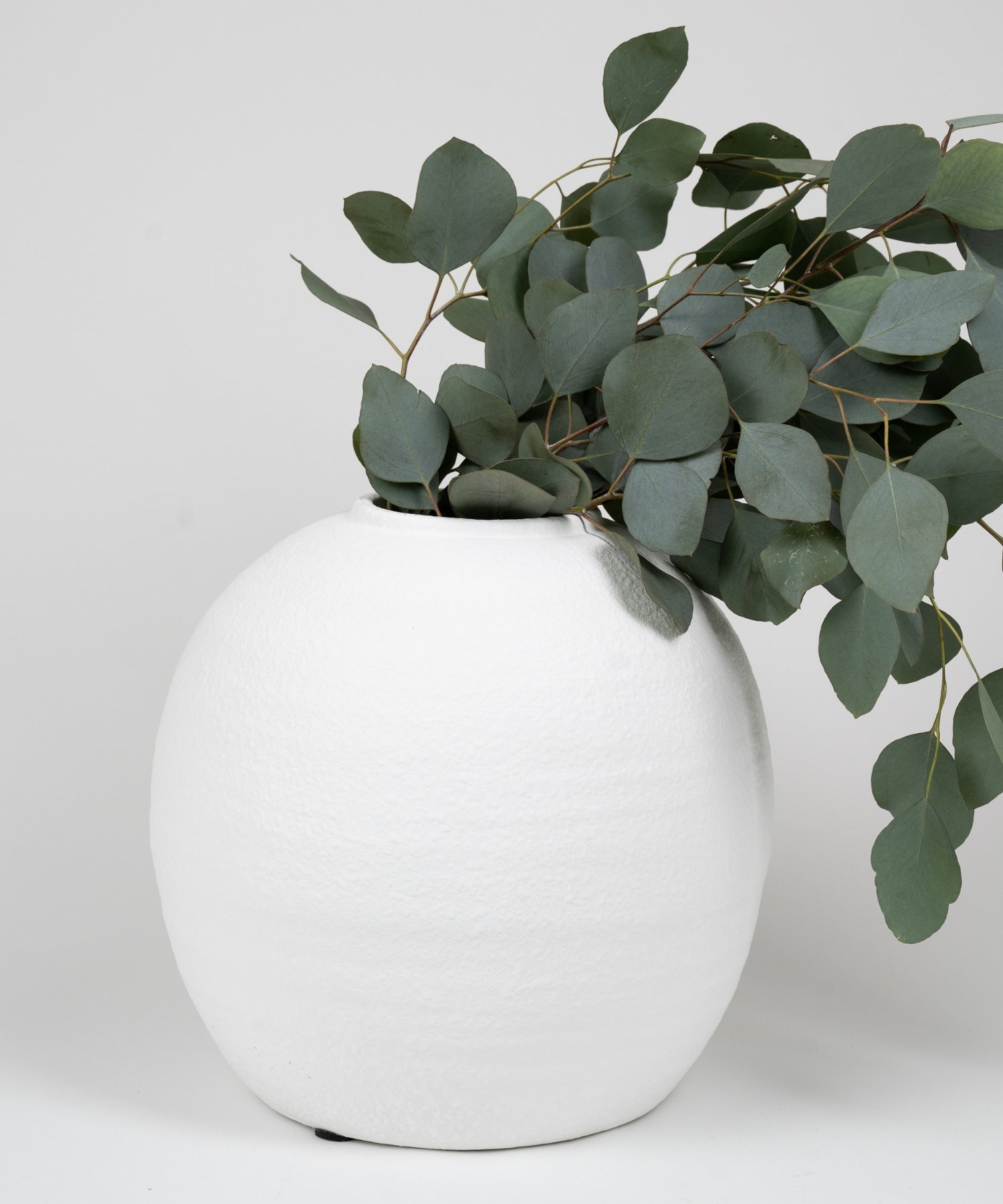 A round bellied cement vase with a textural white matte finish styled with greenery.