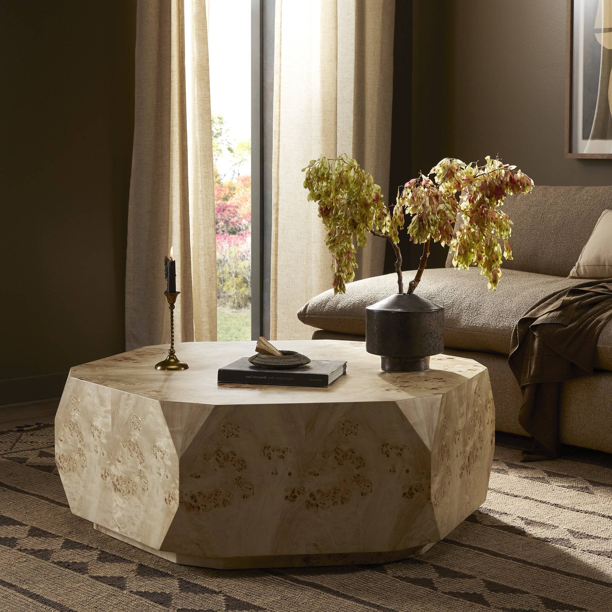 Modern living room with a decorative coffee table, sofa, and plants.