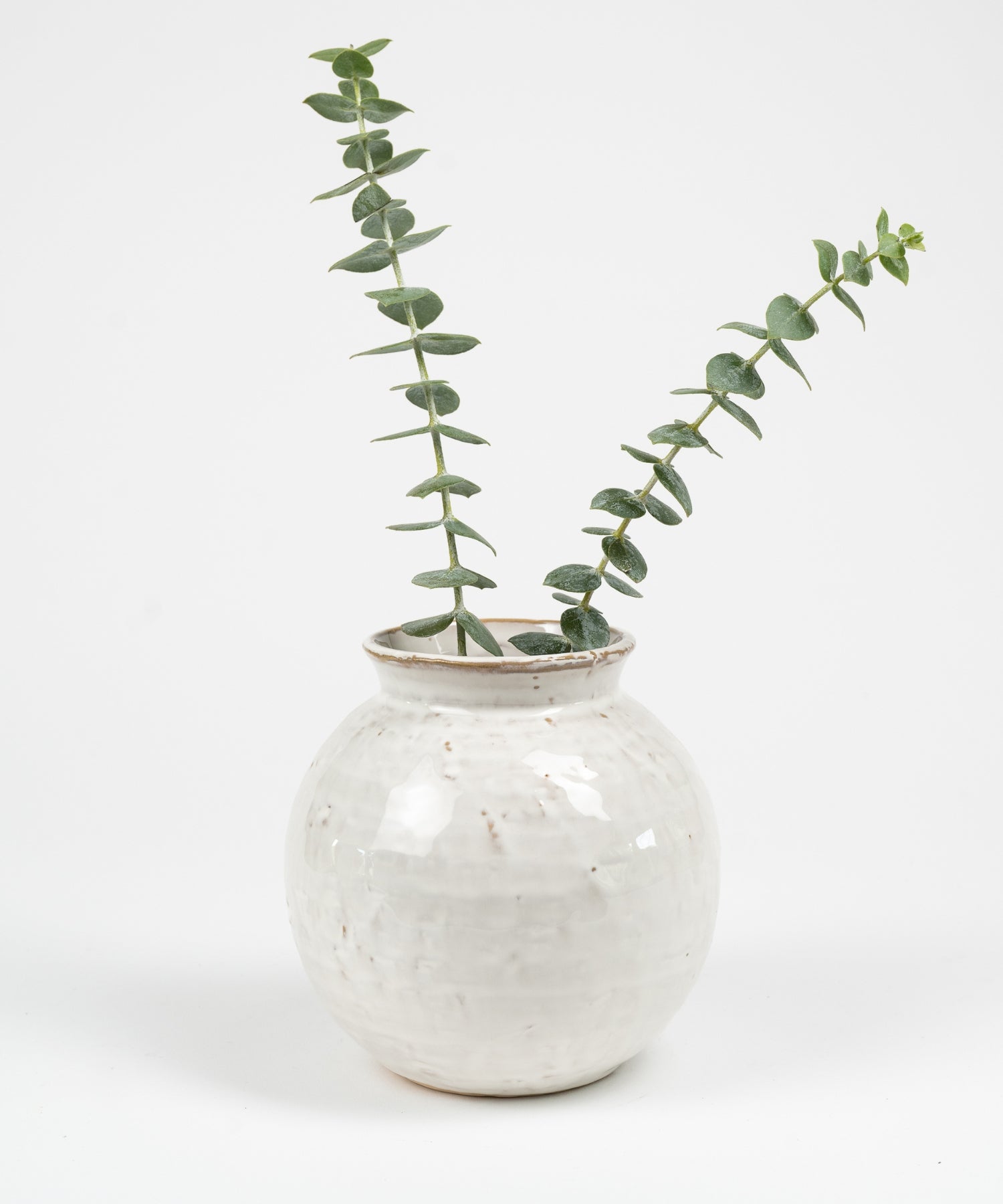 Round ceramic vase with a textured white glaze, holding two stems of green eucalyptus against a plain white background, creating a minimalist and serene tone.